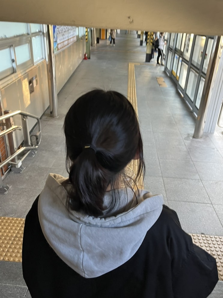  노량진 컵밥거리 ?