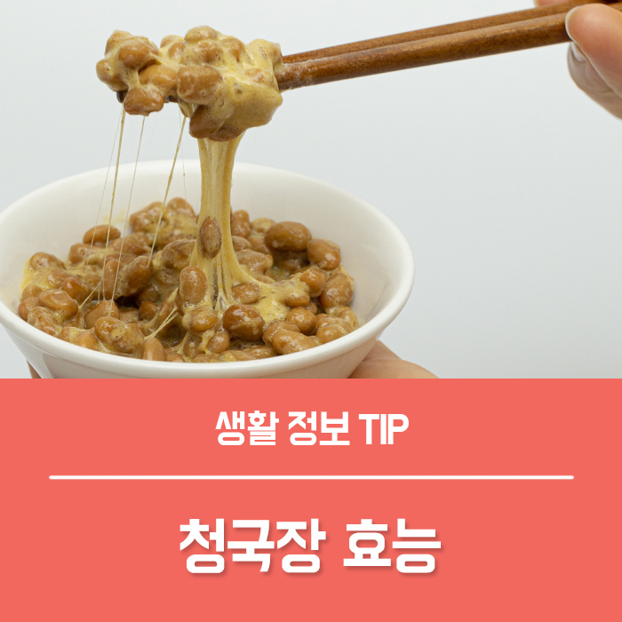  청국장 효능 6가지, 청국장가루 청국장환도 좋아요