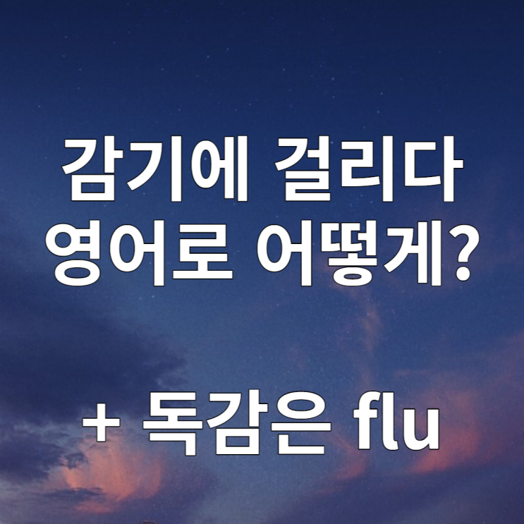 감기에 걸리다 영어로 (feat. 독감은 influenza, flu 라고 해야함)