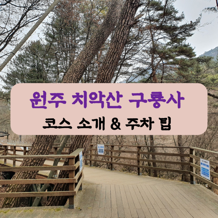  원주 치악산 구룡사코스 (입장료 & 주차 팁 포함)