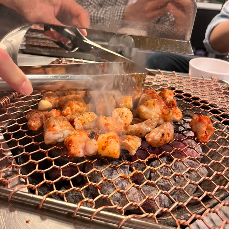  [서울/강남구] 한국이 기름 한 방울 안나는 곳이었다고? 아니던데, 역삼역 양대창&곱창전골 맛집 <세광양대창>