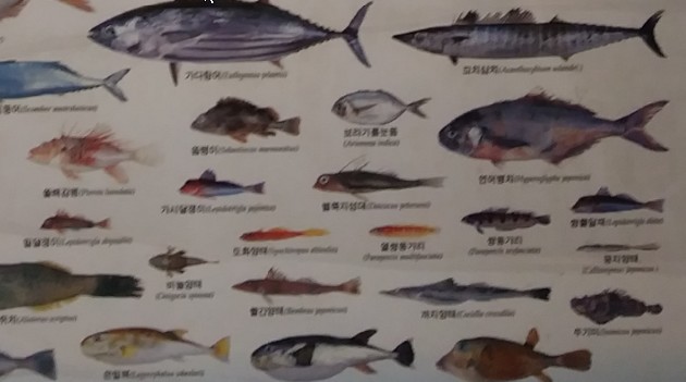 사회복지조사의 한계 사회복지조사의 필요성 및 기능 사회복지조사의 특징공유합니다먼저 드리는 리포트는 약 4페이지의 HWP파일(HWP) File 사회복지조사의 한계 이고사회복지,한계, 사회복지조사의 한계 사회복지조사의 필요성 및 기능 사회복지조사의 특징공유합니다먼저 드리는 리포트는 약 4페이지의 HWP파일(HWP) File 사회복지조사의 한계 이고사회복지,한계,