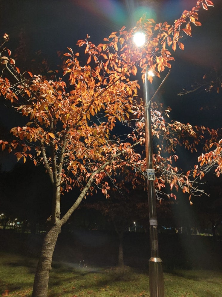 <Gospel.S> 주여 지난밤 내 꿈에 My Wonderful dream 찬송가 피아노 반주 <Gospel.S> 주여 지난밤 내 꿈에 My Wonderful dream 찬송가 피아노 반주