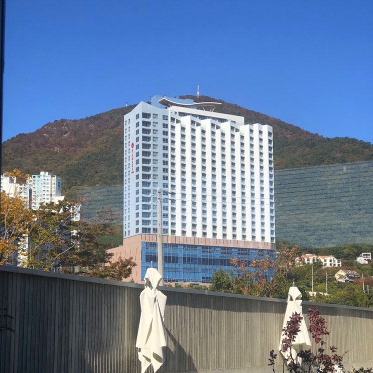  거제도 결혼식 하객 참석(숙소,카페,웨딩홀)