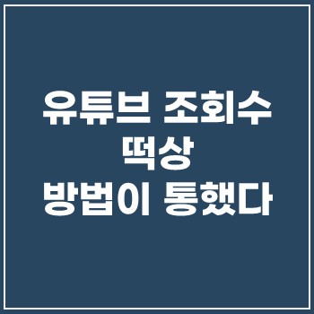  유튜브 조회 수 떡상 방법이 통했다!