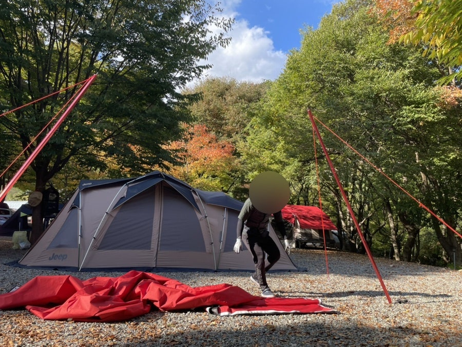 법흥계곡청송캠핑장 사진 5