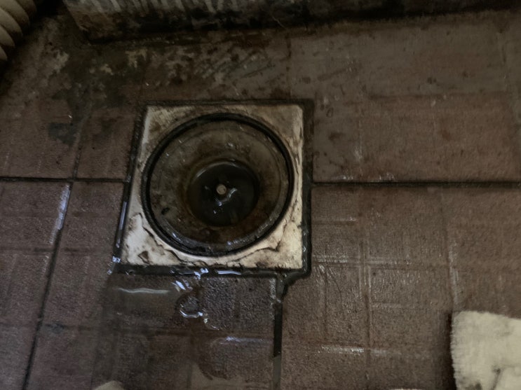 성남 백현동 세탁실 누수, 아파트 천장에 물새는 이유 알고 보니!