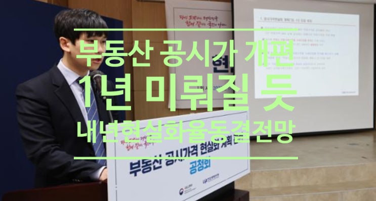  부동산 공시가 개편 1년 미뤄질 듯...내년 현실화율 동결 전망