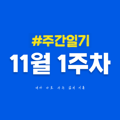 11월 1주차 | 개인 SNS 채널들이 무럭무럭 자라는 한 주