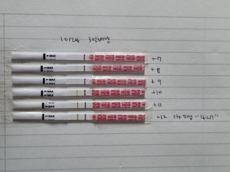  난임일기#7 저자극 시험관2차 이식1~12일 증상 1차 피검사 통과(수치427)