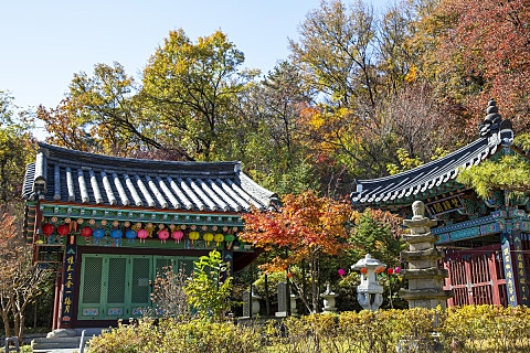 호국지장사 이미지
