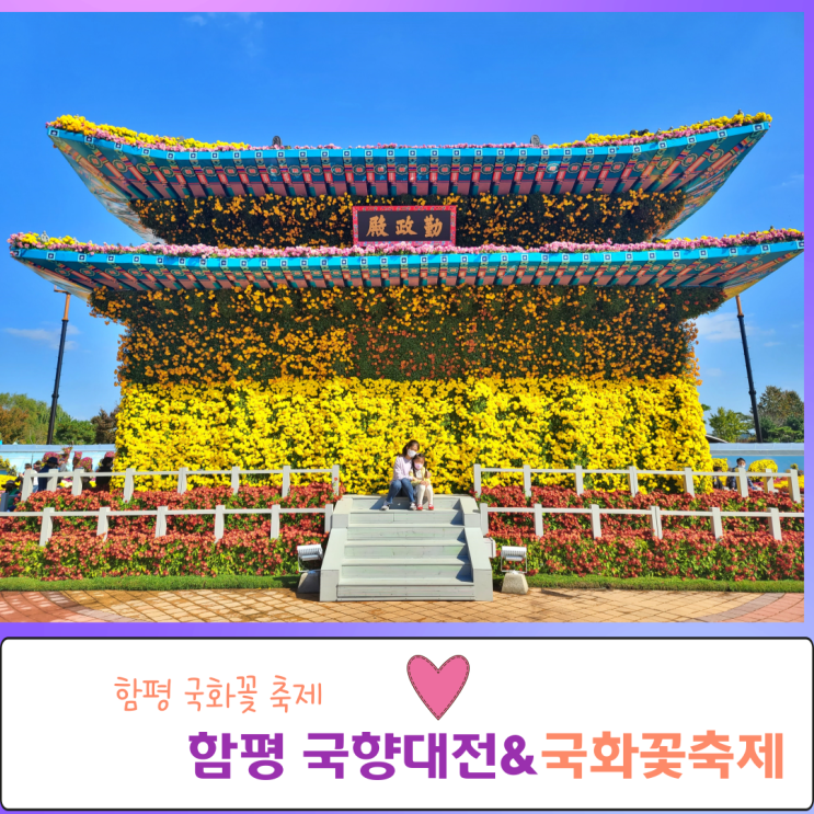  함평 국향대전 국화축제 엑스포공원 먹거리 볼거리