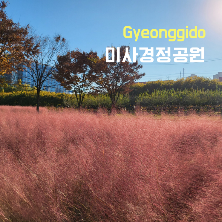  경기도 하남 가볼만한 곳 ::미사경정공원::  주차장정보, 핑크뮬리,단풍은