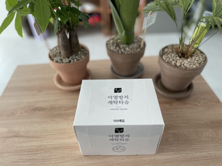 [리뷰] 1/2인 가정 세탁 필수품! 이염방지시트! 일상앤 이염방지세탁시트
