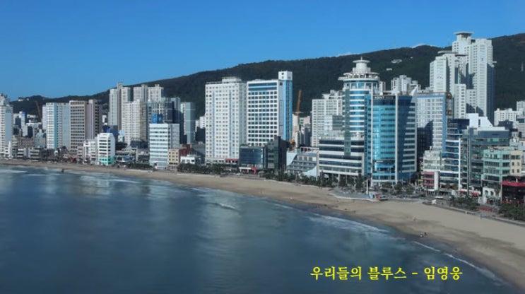 우리들의 블루스 - 임영웅 우리들의 블루스 - 임영웅