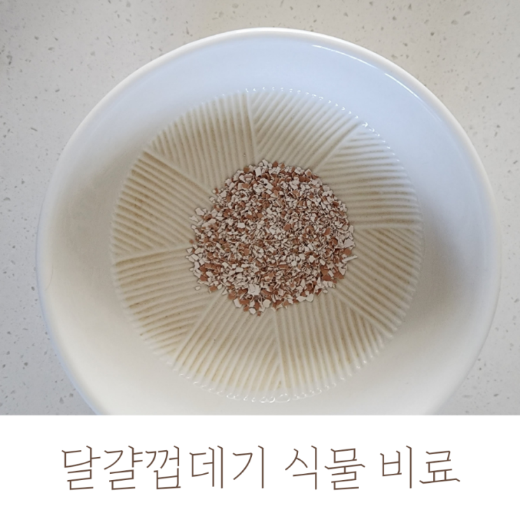  달걀 껍데기로 만드는 식물 비료