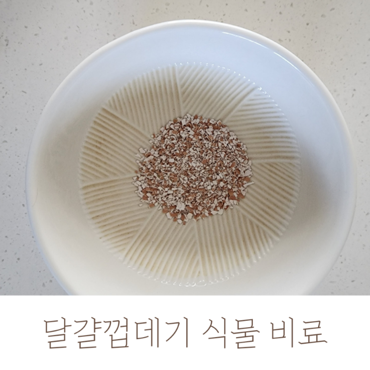 달걀 껍데기로 만드는 식물 비료