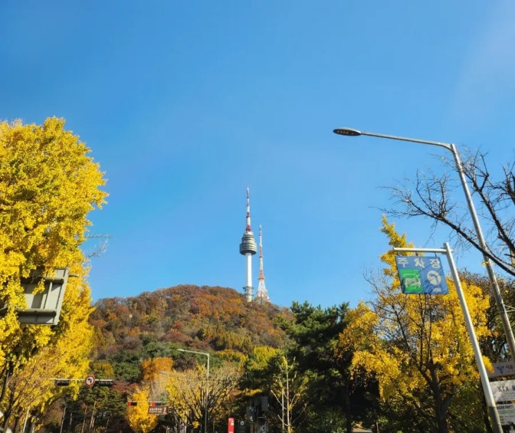  남산 가을 단풍 구경 주말 데이트 코스 남산타워