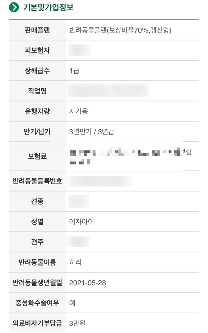  강아지 반려동물 애견 보험, 고양이 펫보험 들었어요!