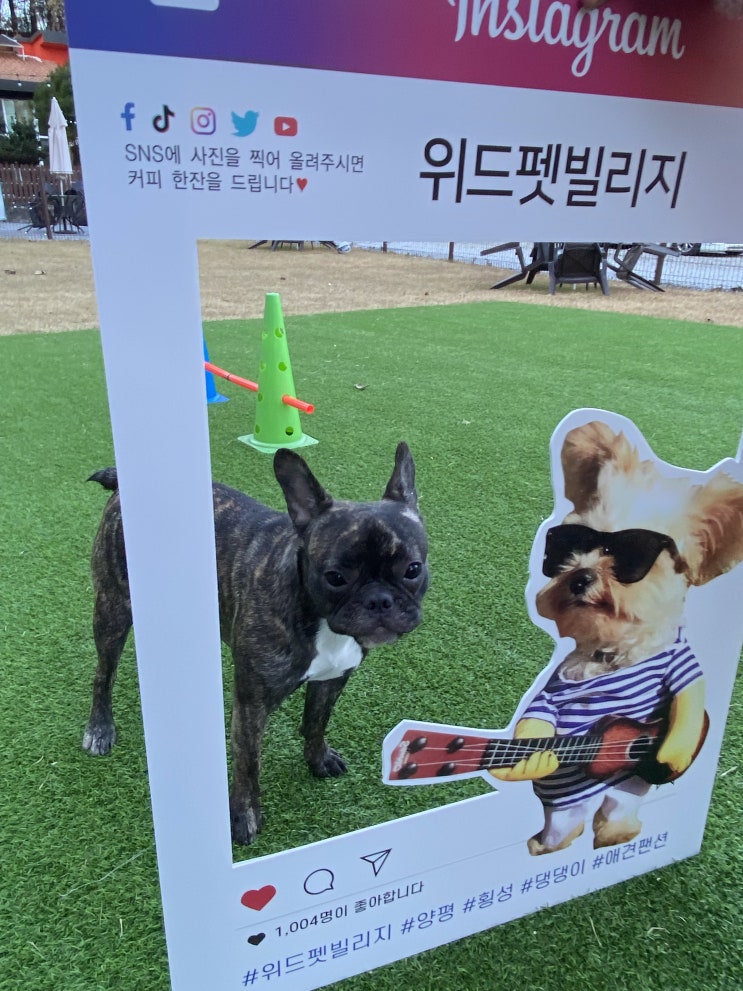  [10월31일~11월6일] 11월 주간일기 첫번째