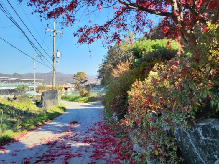  연세대 MBA 리더십 백두대간[예봉산]