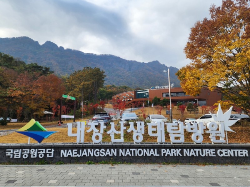 국립공원 내장산생태탐방원 생활관 4인실 2박3일 일정 & 예약 방법 : 네이버 블로그