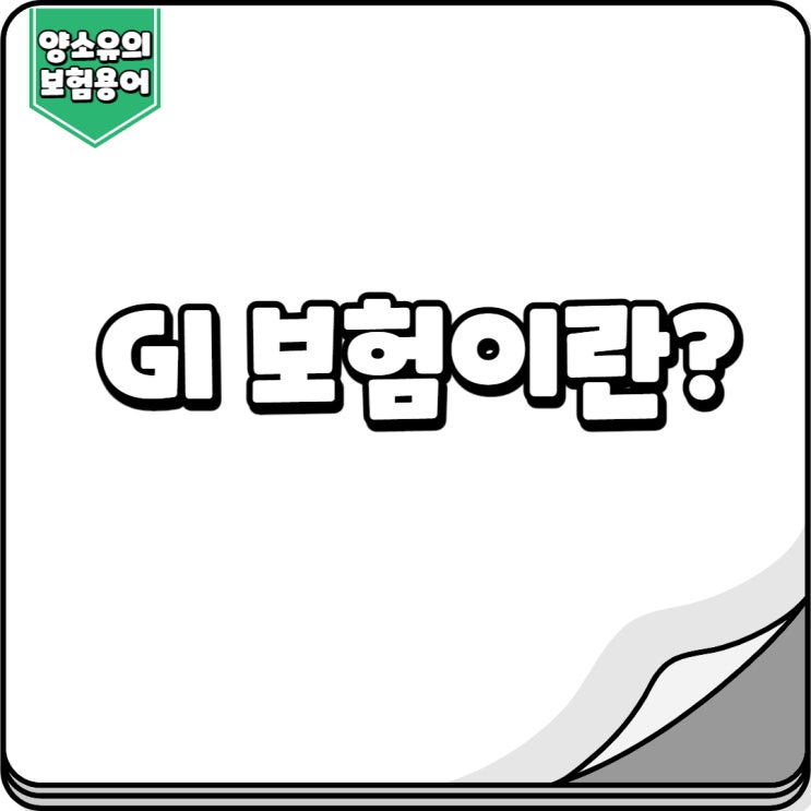  GI보험이란?