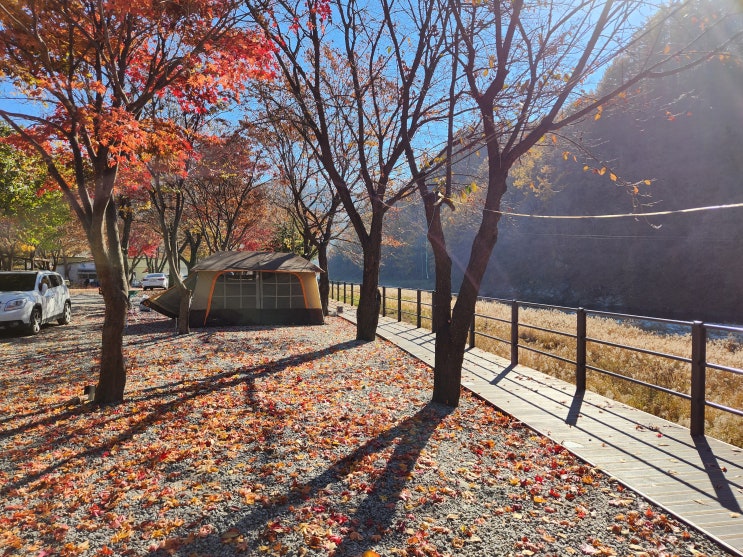  가평캠핑장추천 리얼그라운드 가평화랑유원지캠핑장 후기