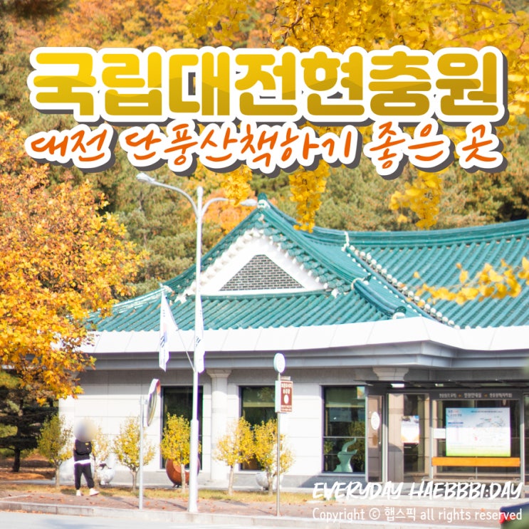  대전 현충원 둘레길 단풍 산책하기 좋은 곳