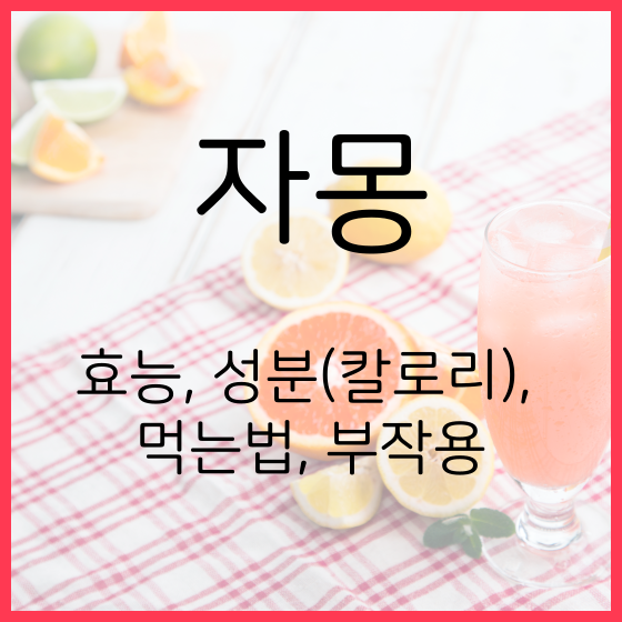  자몽 효능, 성분(칼로리), 먹는법, 부작용