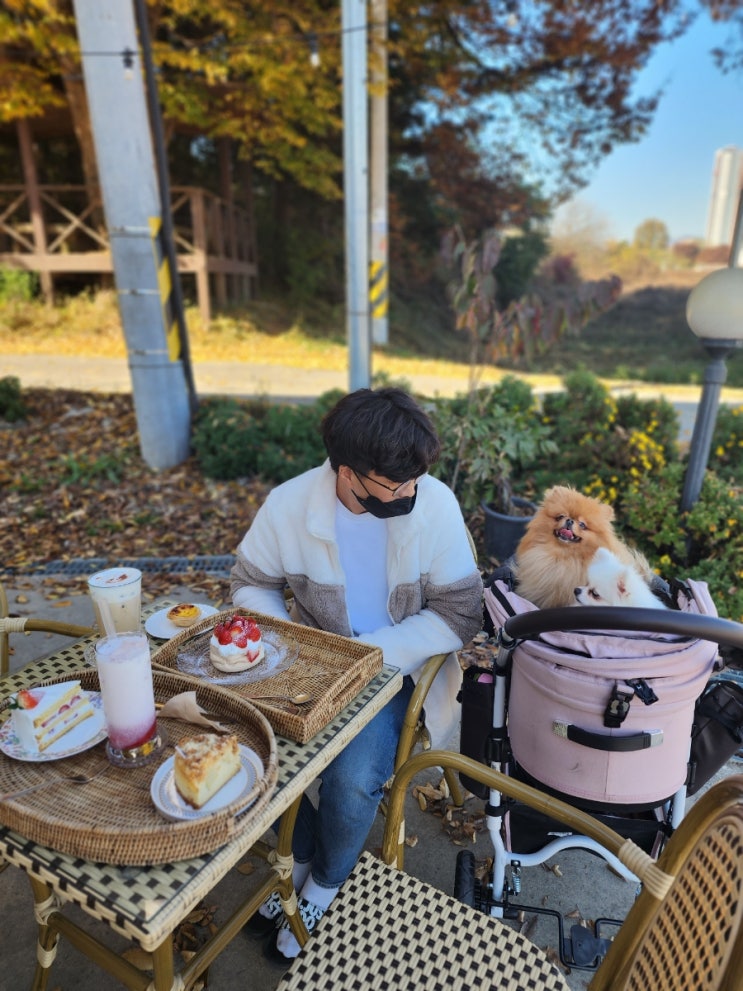  평화로운 논밭뷰, 실내애견동반 가능한 이천 디저트 맛집 카페진리