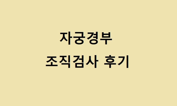  자궁경부 상피내암 판정부터 원추절제술 후 현재까지의 까지의 기록-3