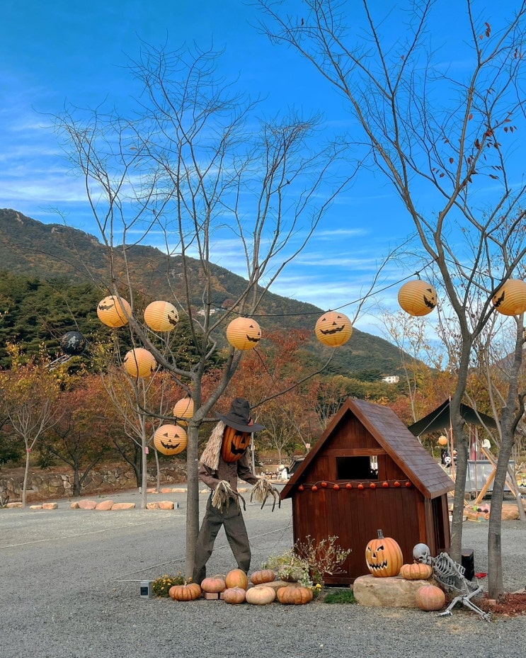  [경남 창녕] 화왕산오토캠핑장