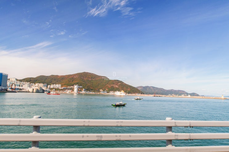  여수 오동도 동백열차(시간표, 요금, 주차장)