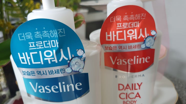  10월의 AK Lover 웰컴박스 는 건성피부에 도움이 되는 촉촉한 약산성 바디워시 바세린 프로더마 엑스트라 모이스쳐 바디워시