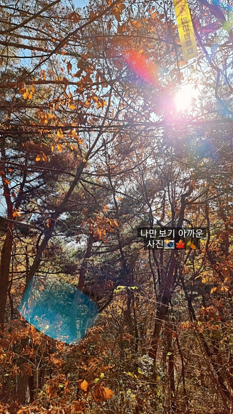  관악산등산코스 장단점 비교 / 관악산단풍 /관악산사당 관악산서울대공대