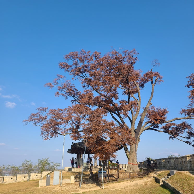 집순이 집돌이 강화도 연미정 방문기