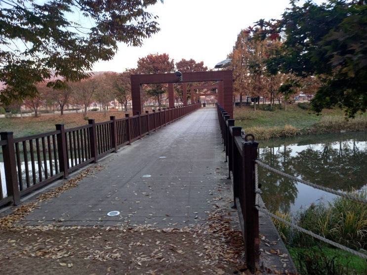 [ABO Runner 3차 미션] ABO 레이스킷(티셔츠, 배번표) 착용하고 6.14km+ 인증하기