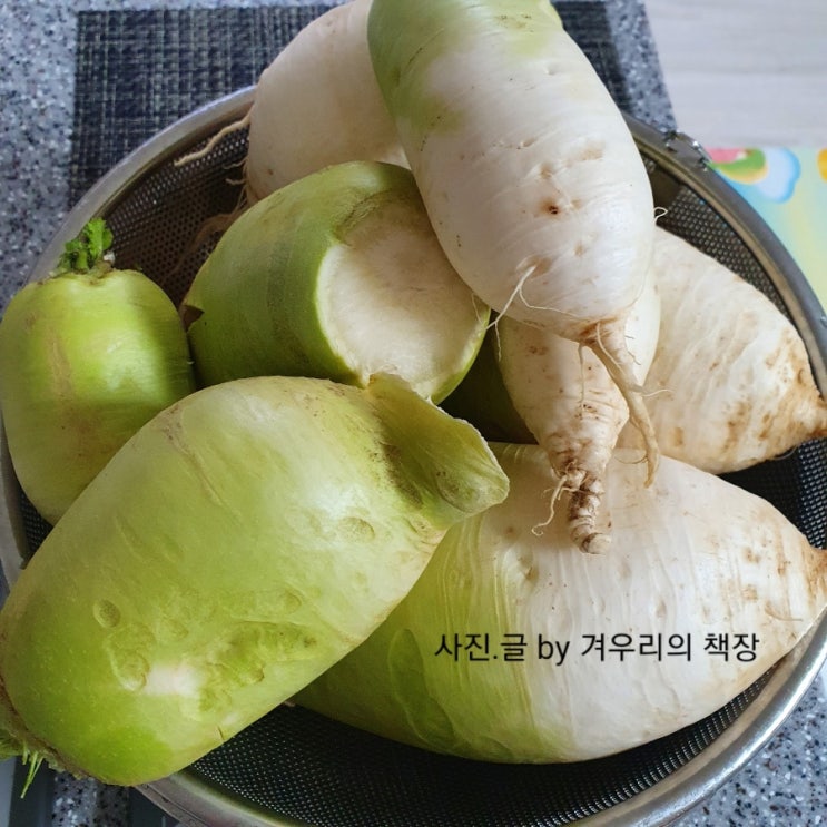  제철 가을무 깍두기 맛있게 담그는법  달콤아삭 깍두기 요리 레시피