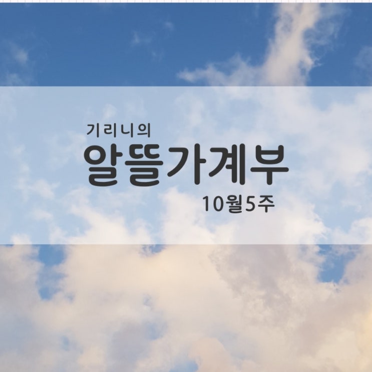  [가계부]서울자취/20대/여자/직장인 #22.10.31~11.06