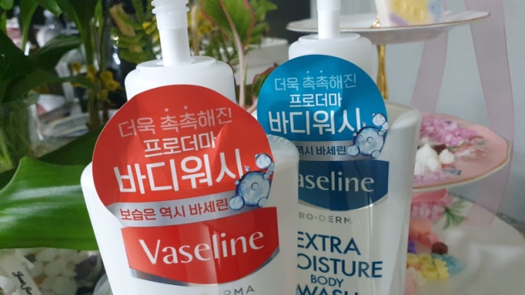  10월의 AK Lover 웰컴박스 는 건성피부에 도움이 되는 촉촉한 약산성 바디워시 바세린 프로더마 데일리 시카 바디워시