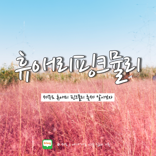  휴애리 핑크뮬리 축제 제주 기간 입장권 프로그램