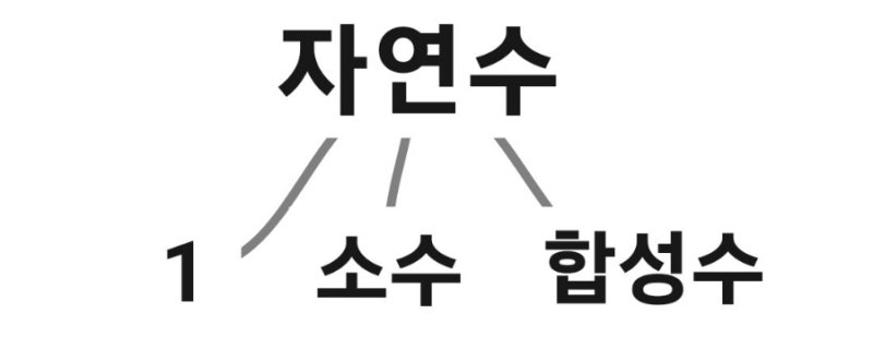 중1수학 소인수분해 소수와 합성수 중등수학 : 네이버 블로그