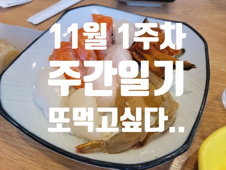  11월 1주차 주간일기 나의 한주간 기록