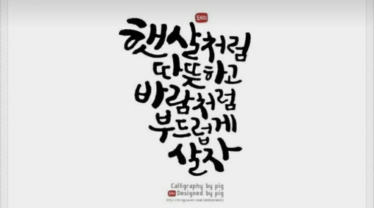  11월의 양장 하이링다오 여행 애견 동반