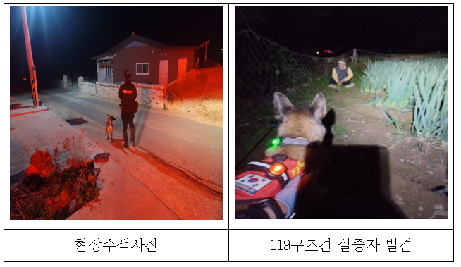 전남 신안서 길 잃은 90대 어르신 119구조견이 구조_소방청 전남 신안서 길 잃은 90대 어르신 119구조견이 구조_소방청