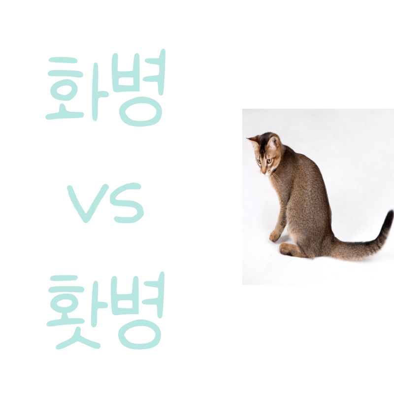 '화병', '홧병' 중 틀린 것은?
