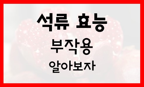  석류 효능과 석류 부작용 알아볼께요