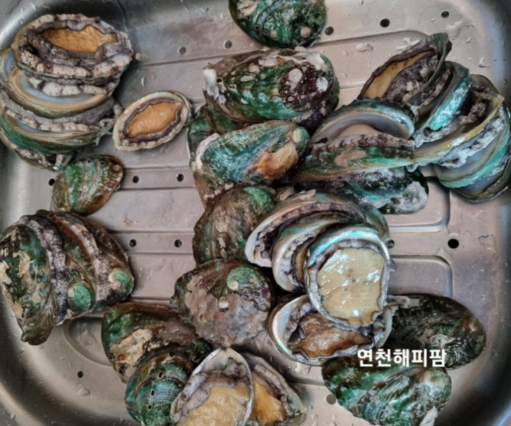  온라인 전복맛집 착한가격 믿고먹는 농라 바른전복