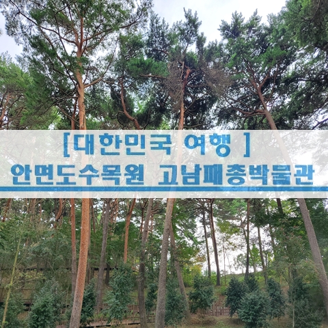  [충남 태안] 안면도여행 안면도수목원 고남패총박물관 아이와함께가볼만곳